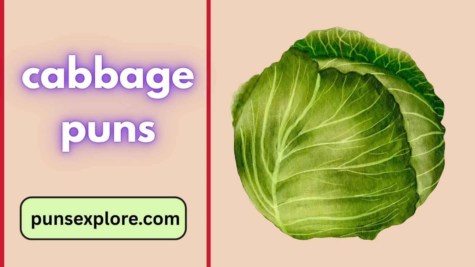cabbage puns