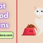 cat food puns