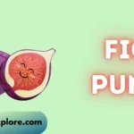 fig puns