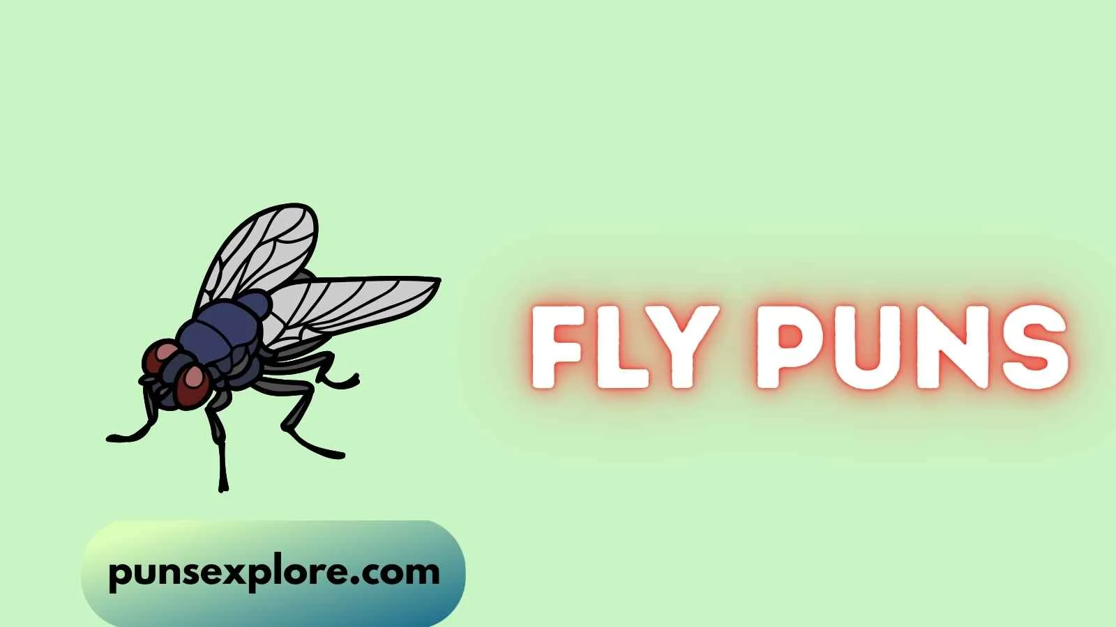 fly puns