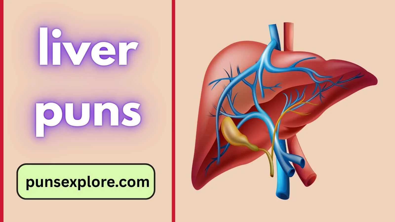 liver puns