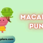 macaron puns